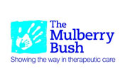 THE MULBERRY BUSH ORGANISATION